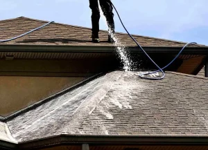 Roof Pressure Cleaning in Sydney